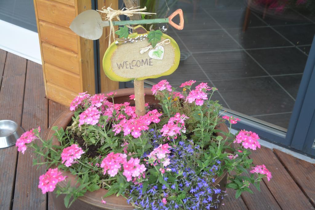Les Condamines Bed and Breakfast Antoingt Eksteriør billede